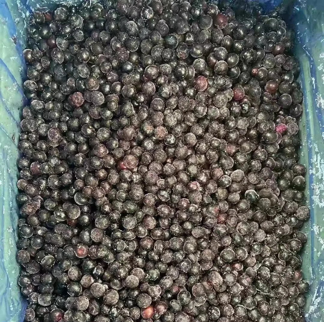 Donmuş böyük qarağat IQF böyük qarağat Çin təchizatçısı donmuş meyvə donmuş böyük qarağat IQF böyük qarağat toptan satışı beynəlxalq distributorlar üçün