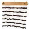 156 Conchas de flores de frijol