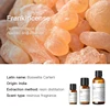 Frankincense (India) 10ml