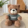 Orsetto di peluche marrone - maglione verde chiaro