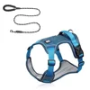 Lake blue 202 rope