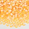 514 Sparkle Honey