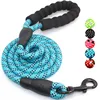 Dog Leash 02