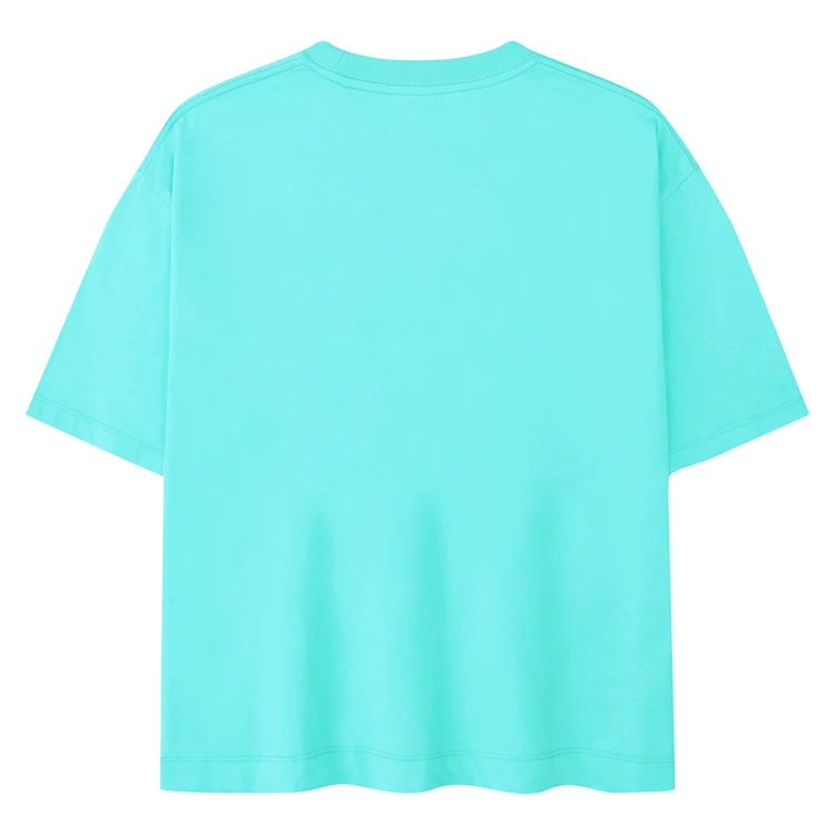 Trgovina na debelo s kratkimi rokavi in ​​okroglim izrezom, moška prazna majica s kratkimi rokavi, 100 % bombažna enobarvna majica s kratkimi rokavi po meri 250_voghion.com