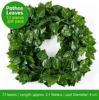 Green Pothos Leaves