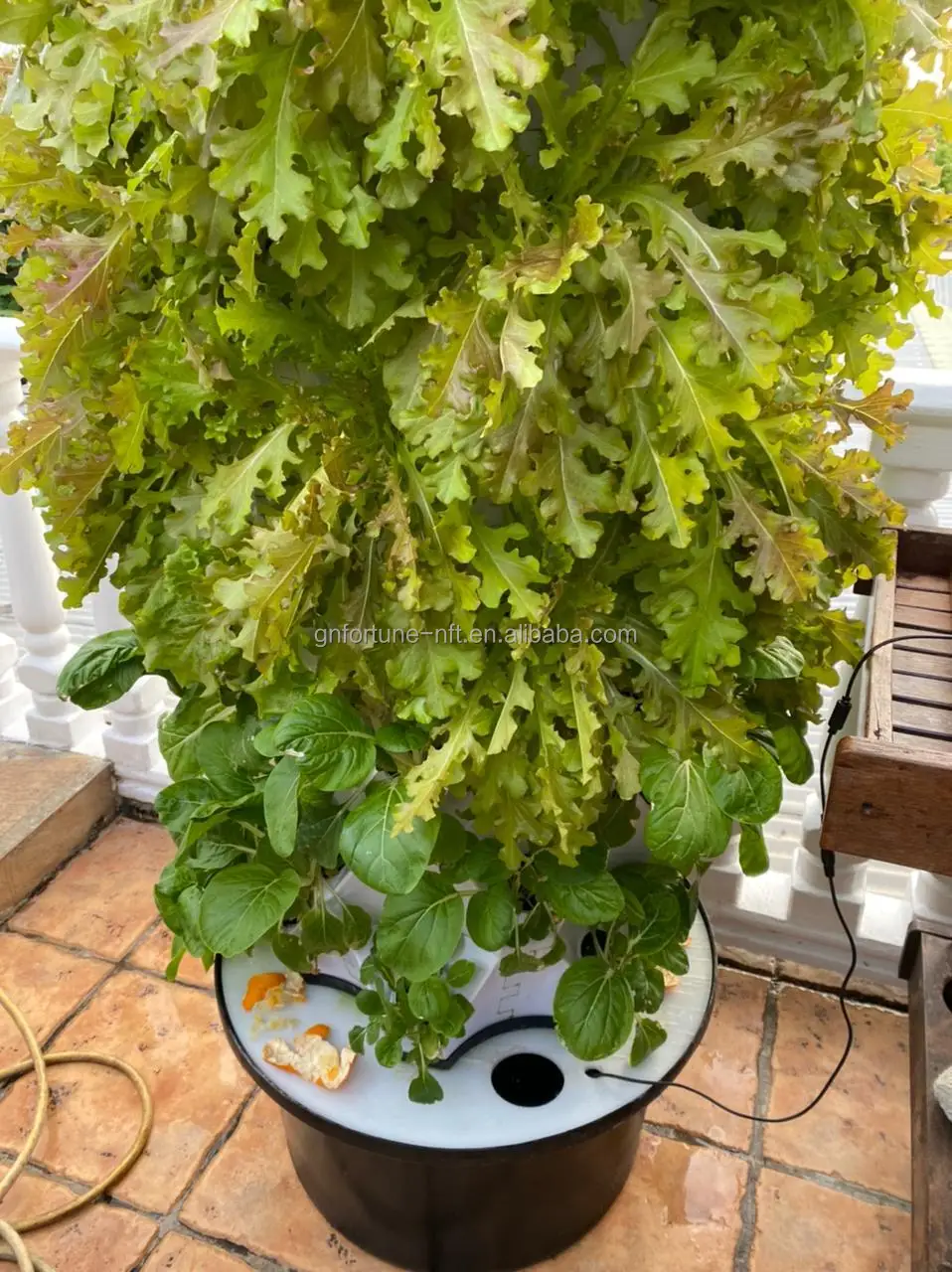 hydroponic strawberry tower