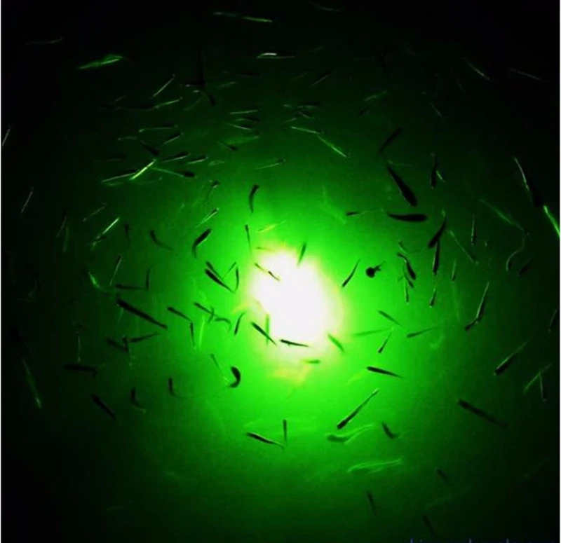 Ocean Vessel Fishing Light IP68 Deep Sea Water Fish Finder Submersible Bluefin Tuna Salmon Underwater Lure Fishing Lamp