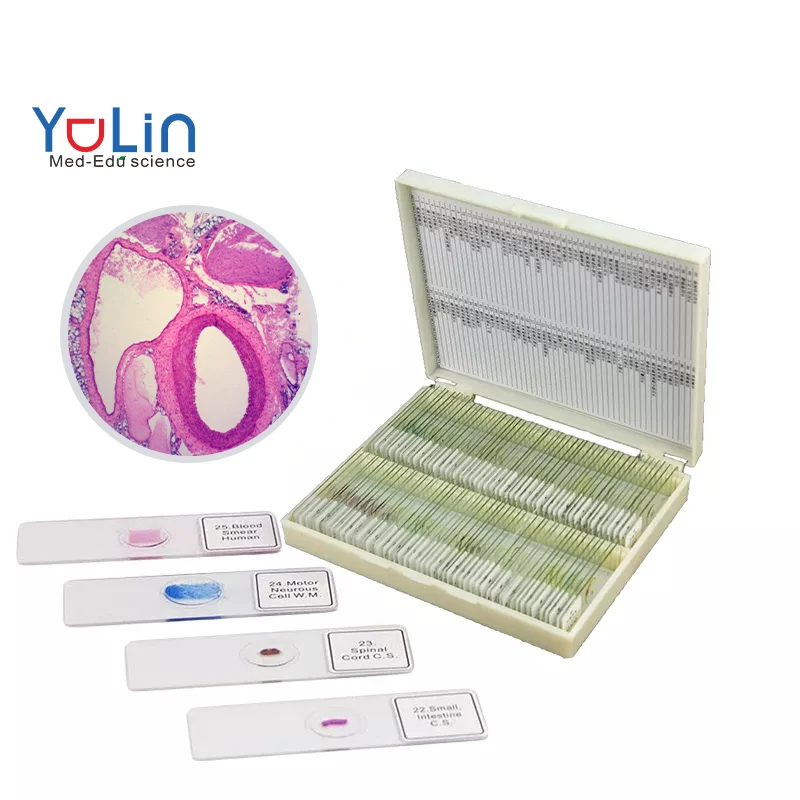 Medical Research Higher Education Biology Teaching Microscope Slides