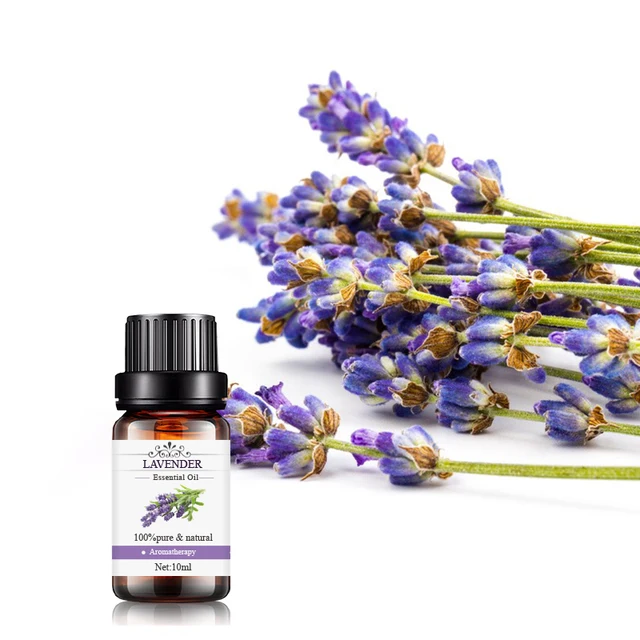 Pure natural organic perfume oil wholesale price 10ml aromatherapy lavender massage essential oil for skin hair body care