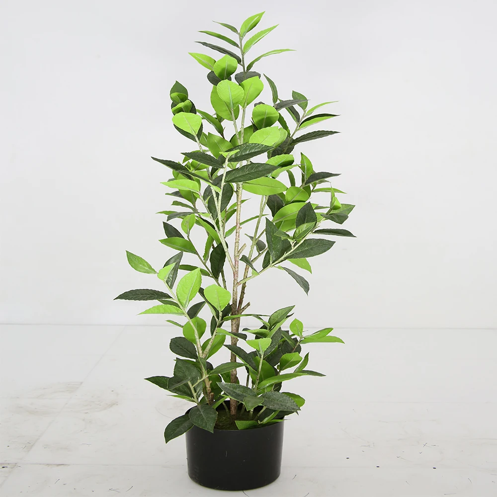 Home Decorating Artificial Tree Fake Bay Leaf Plants Buy Artificial Plants Home Decorating Fake Plants Product On Alibaba Com