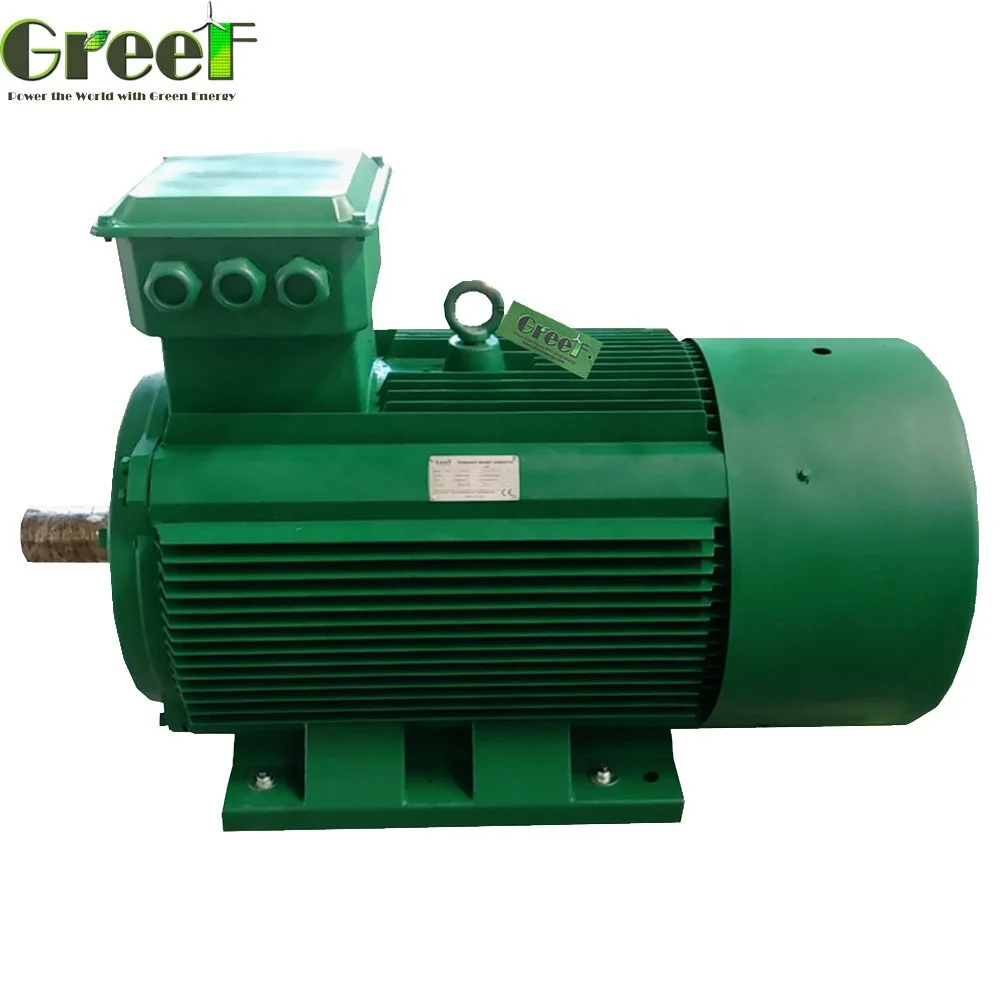 HOT! 100 RPM Permanent Magnet Generator 1kw- 20kw Alternator Low Speed Alternator