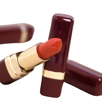 Empty Plastic & Metal Lipstick Tube Cosmetic Packaging and Lipstick Container Available in Various Sizes