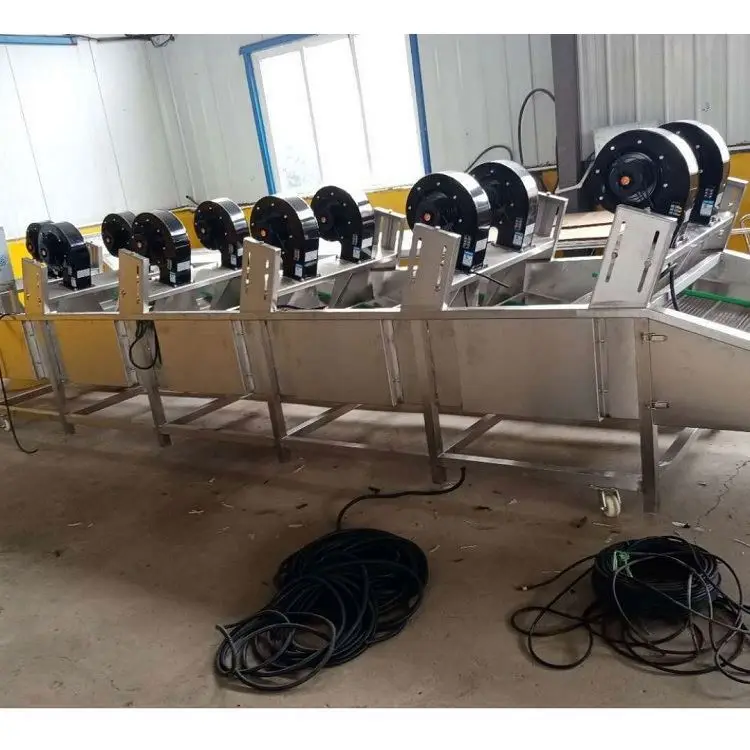 Ginger Surface Water Removing Drying Machine Turmeric air Blower Dryer Fruit and Vegetable Drying Machine