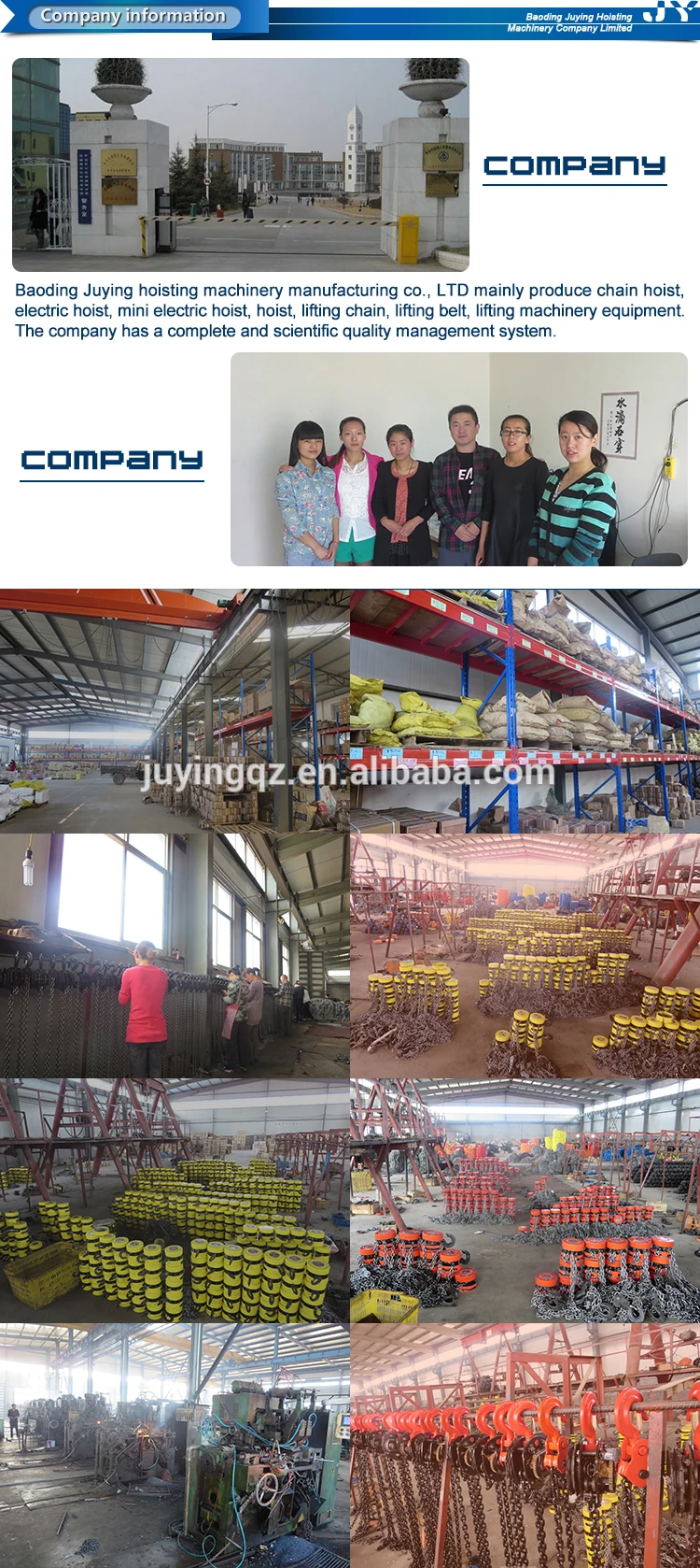6 ton chain block