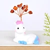 Caballo