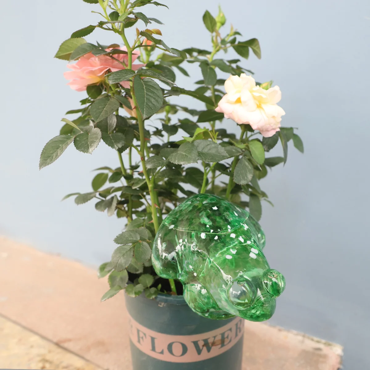 product watering globe set colorful hand blown glass self watering planter inserts-3