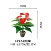 18 heads, 5 flowers, Anthurium (pot not included)