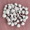 50 conchas de lirio de los valles