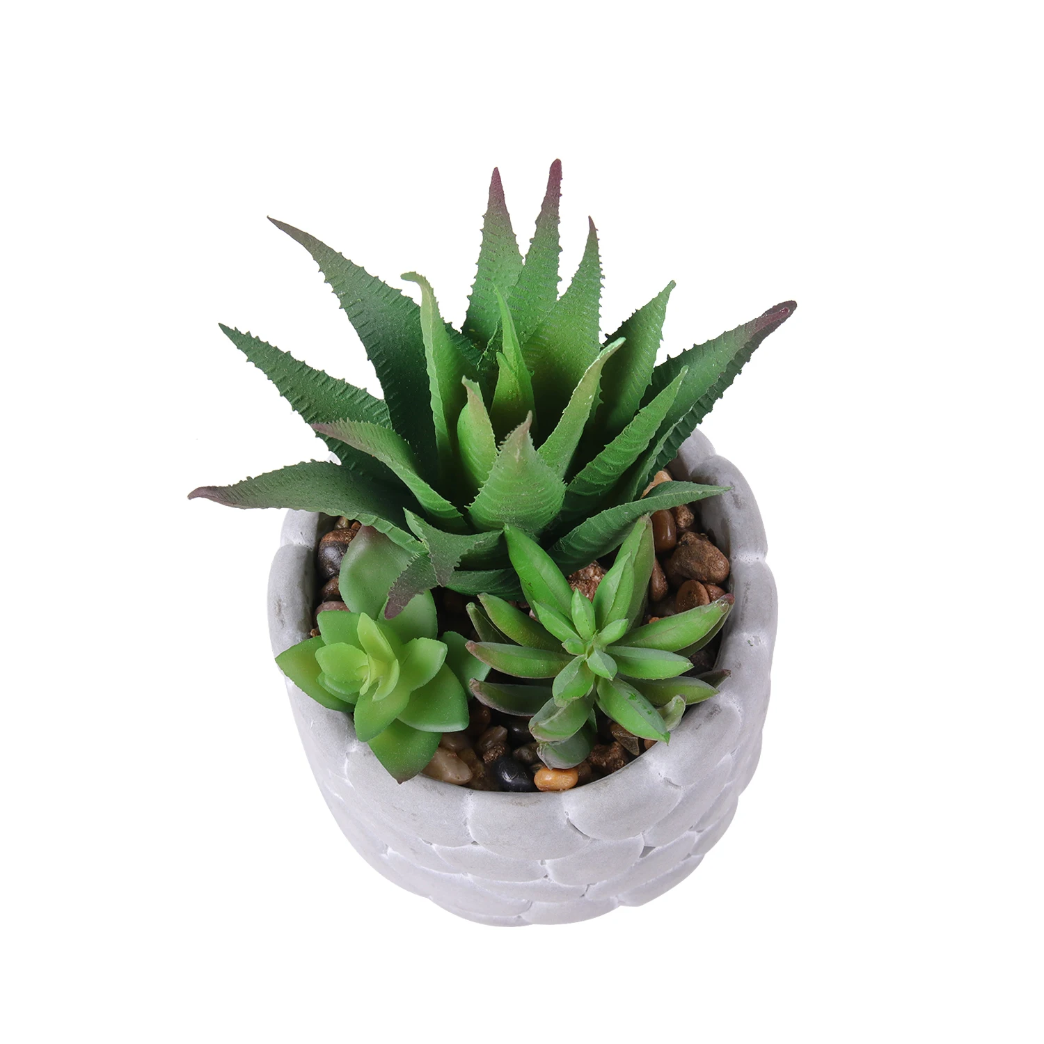 Assorted Small Artificial Succulent Cactus Mini Plastic Succulent Plants Bonsai Picks With White Pots