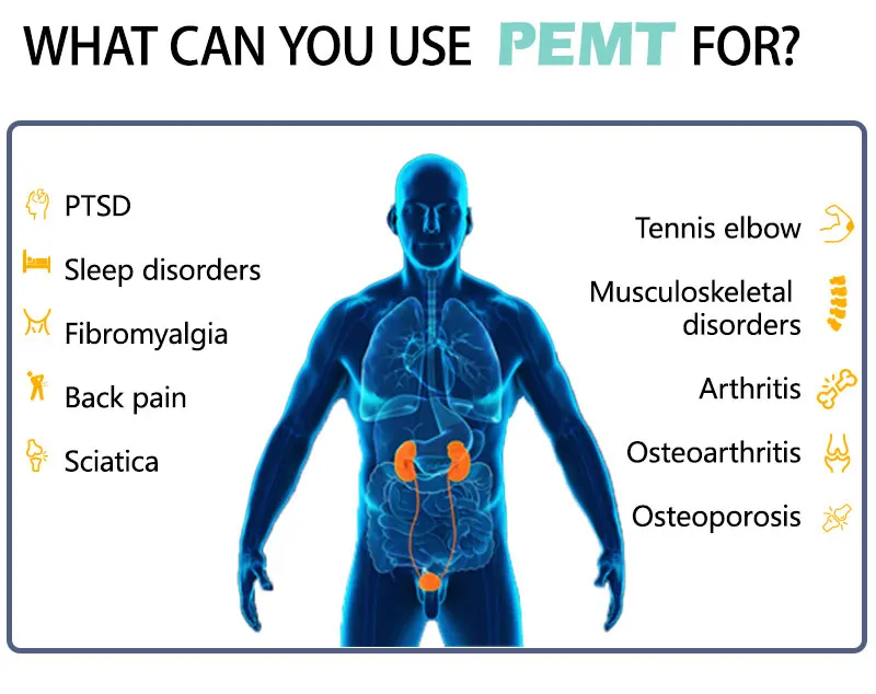 Pemf Equine Animals Pain Relief PEMF Magneto Loop Therapy for Bones Repair Physiotherapy Machine
