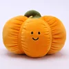 Zucca 14 cm