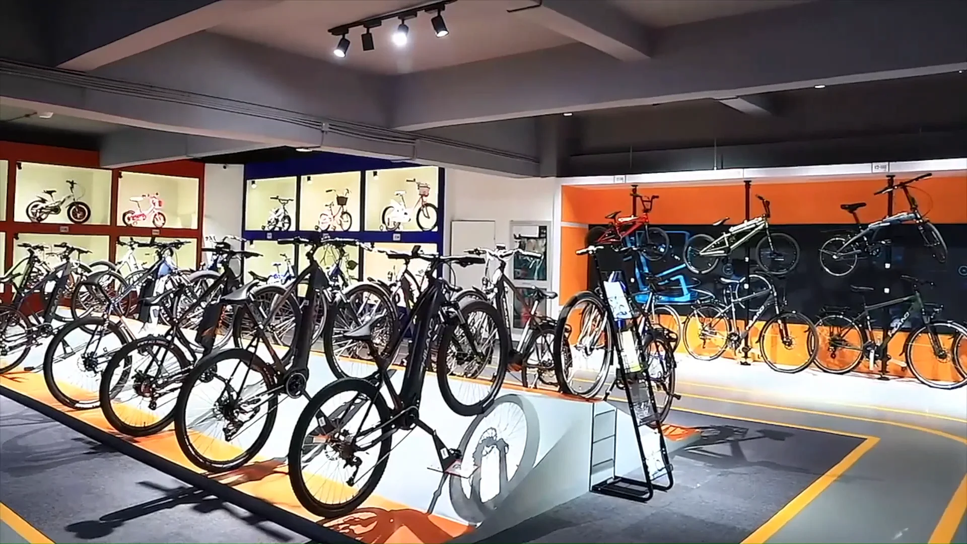 Ahmedabad Frog Cycle Showroom Frog Bike Age Frog 47