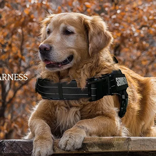 Breathable Service Dog Vest Harnesses No Pull Reflective Adjustable