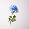 Rosa blu