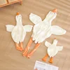 Goose Skin Display