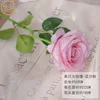 MY - Rosa grande única - Rosa polvoriento