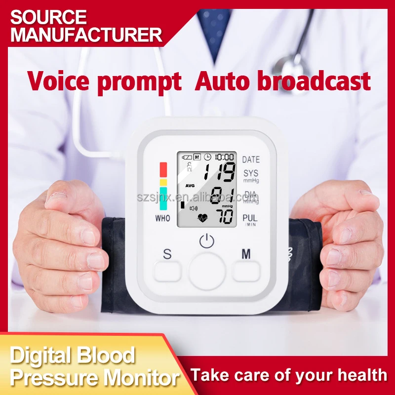 Professional Blood Pressure Monitor Manufacturer Smart Portable