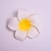 Blanc 4