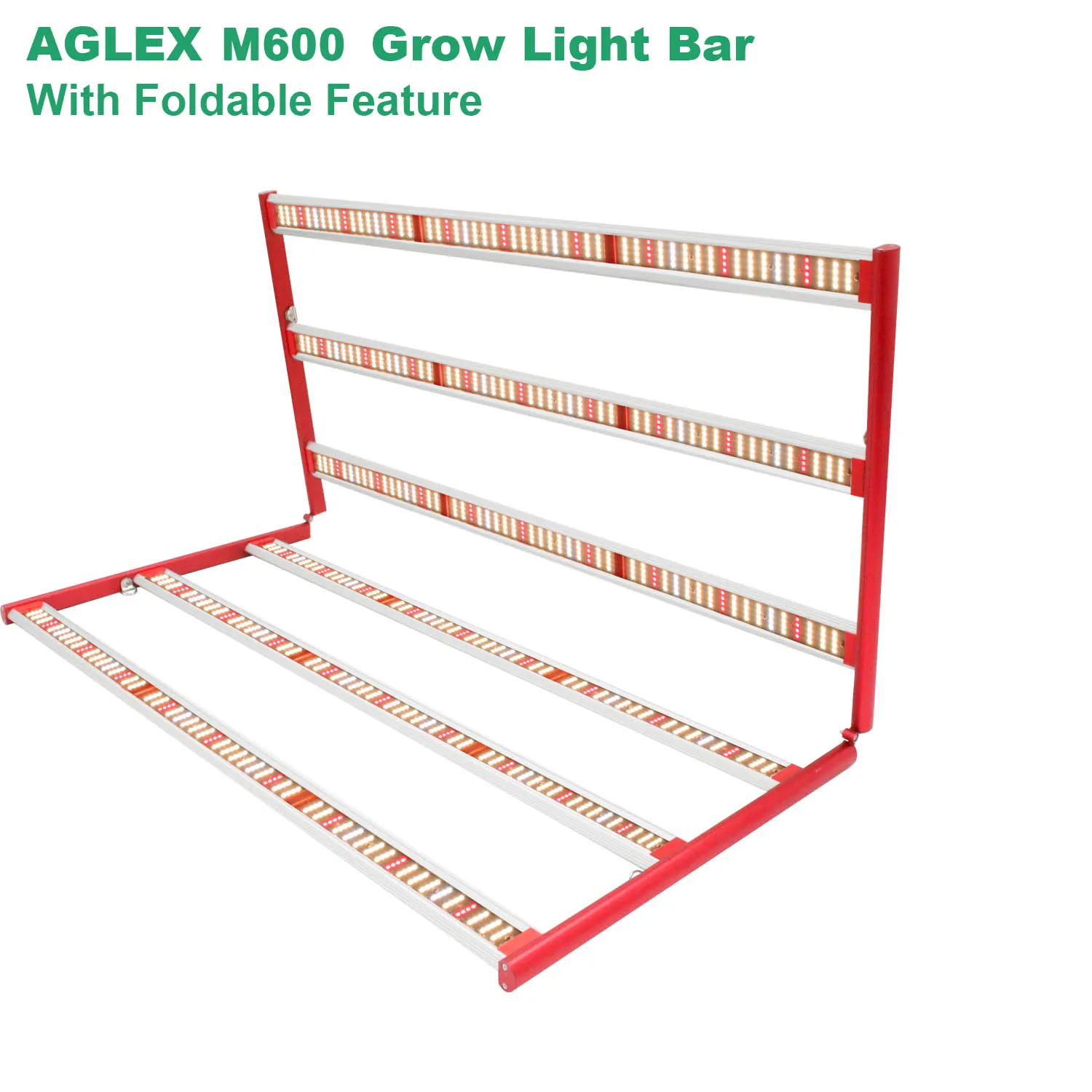 aglex m600