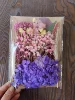 เอ5-13