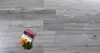 IT158001