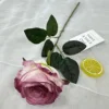 Rosa violeta