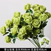กิ่งกุหลาบภูเขาหิมะเขียว