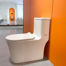 Fashion Design Toilet Floor Mounted Ceramic Toilet Ceramic Bathroom Wc Toilet Bowl