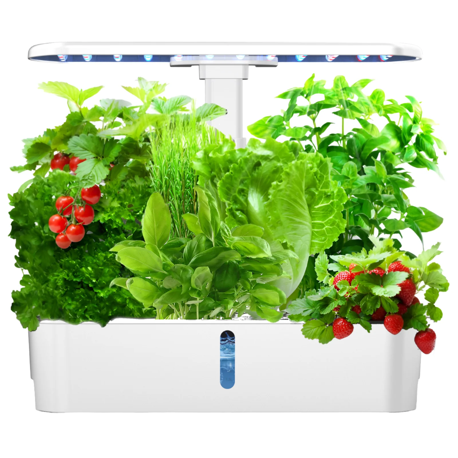 Hydroponic NFT cultivation