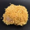 medium yellow