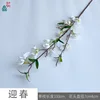 Spring Festival RS White