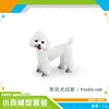 PL127-2587 Cachorros de caniche 11g