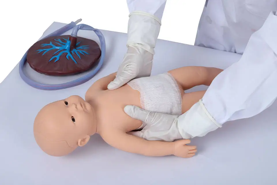 Factory Price Education Models Advanced Neonate Umbilical Cord Nursing Model with Placenta