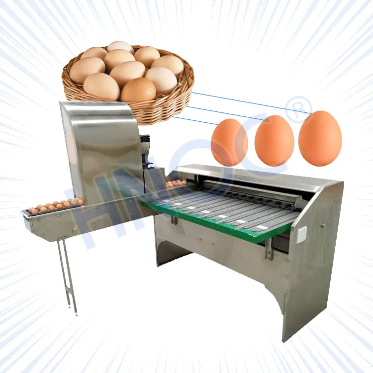 Small Scale Automatic Chicken Egg Weight Sorter Size Classify Grader Sort Egg Grade Machine by Weight