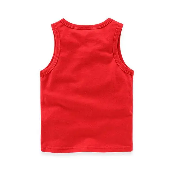 vest (3).jpg
