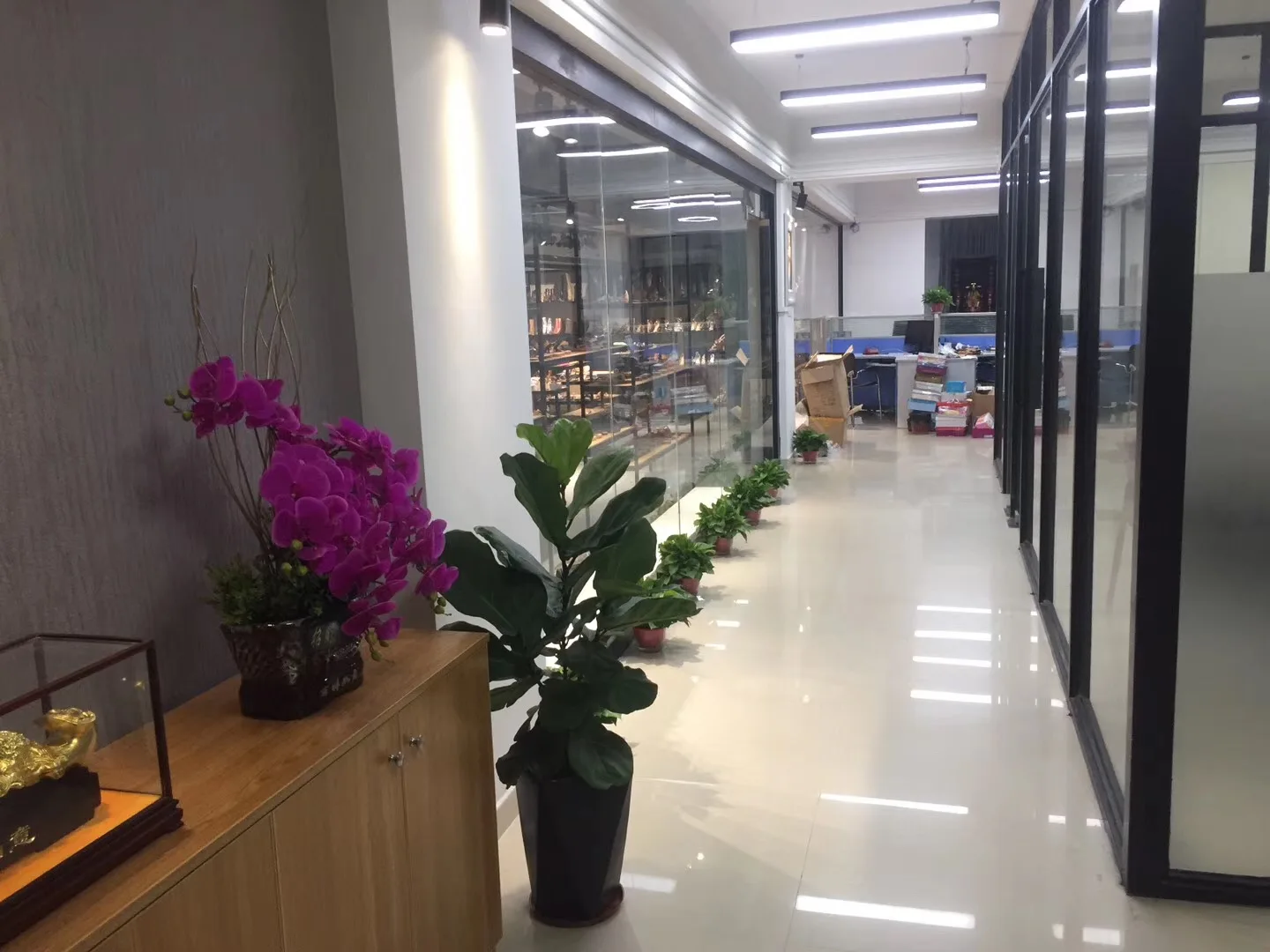 Chaozhou Chaoan Musen Trading Co., Ltd. 2