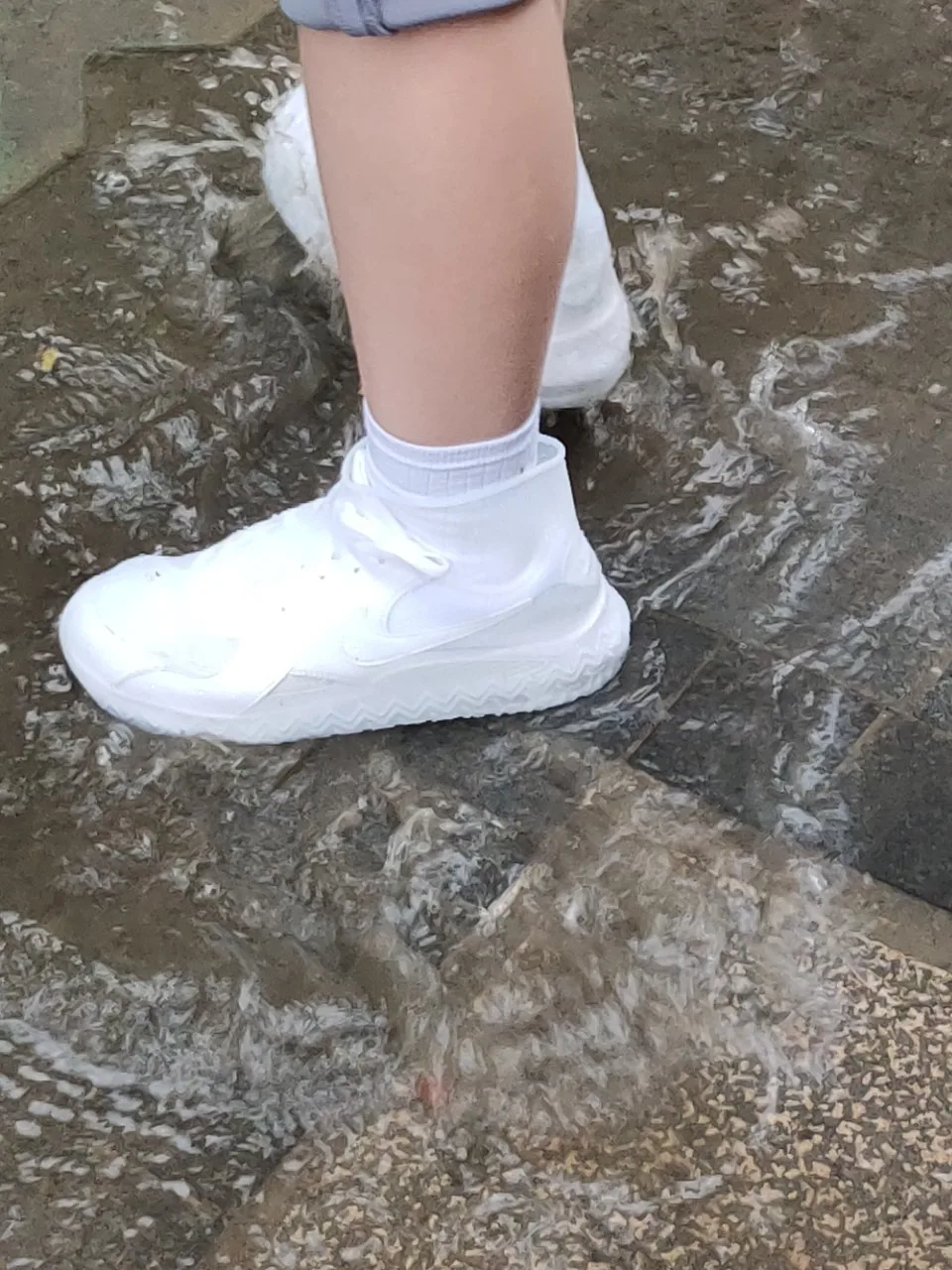 ia_100000243.jpg