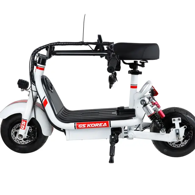 Factory wholesale fashionable and convenient double electric car two wheels