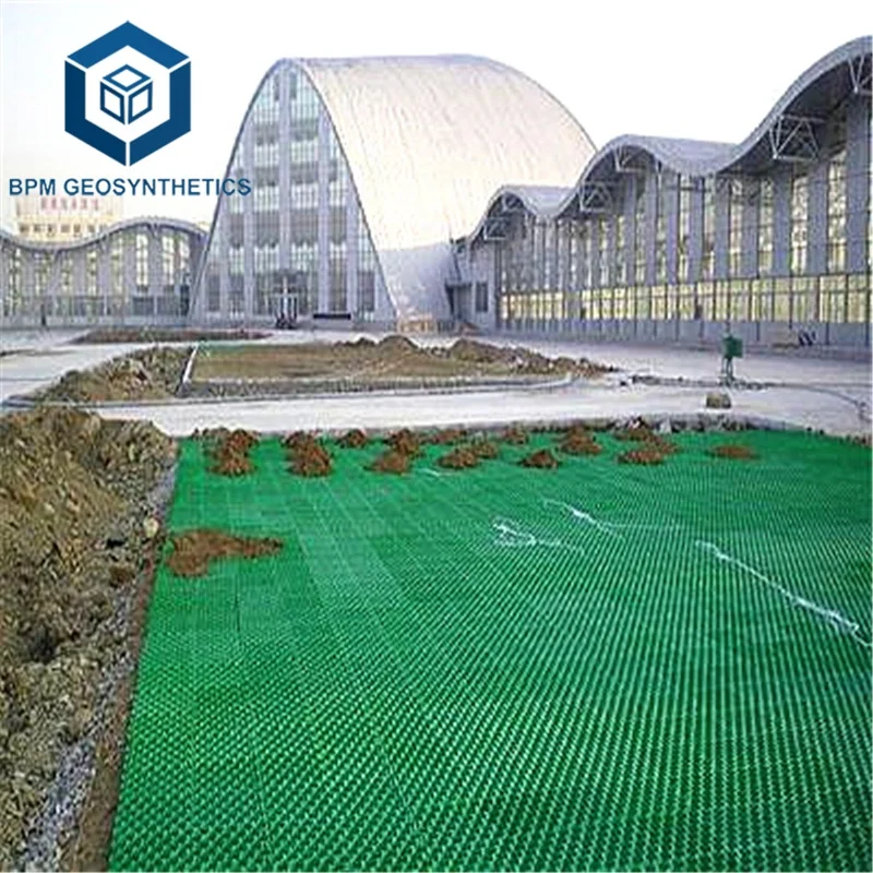 Diamond Grid Gravel Grid System Form Grass Paver for Sale