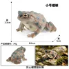 coloré M-3334 Le petit crapaud est gris